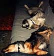 Grendel & Ajax